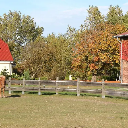 Ferienhof Am Leuchtturm Nr 2 * Ostseebad Kühlungsborn